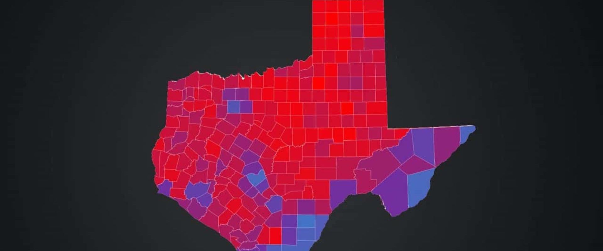 Exploring the Differences between Local and State Politics in Fort Bend County