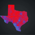 Exploring the Differences between Local and State Politics in Fort Bend County